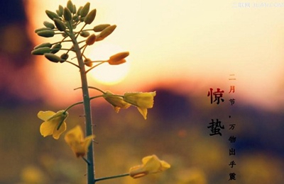 2020庚子鼠年惊蛰搬家好不好？惊蛰节气三候解析(图文)
