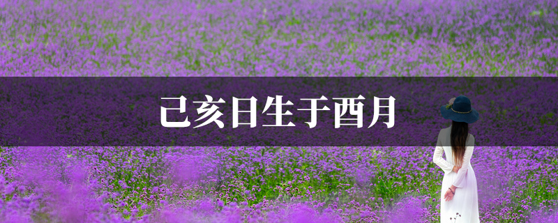 己亥日生于酉月