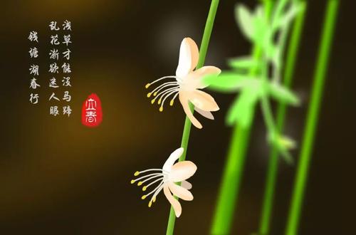 四立之·立春不能搬家乔迁吗 立春节气搬迁会动荡吗?(图文)