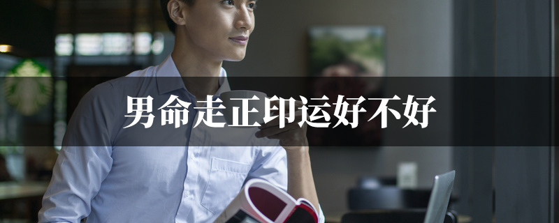 男命走正印运好不好