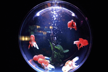 姓杨简单又好听的名字