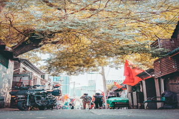 励志句子唯美简短