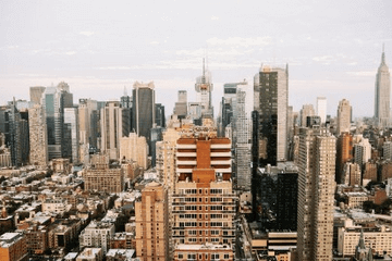 简洁宠物店名字高端