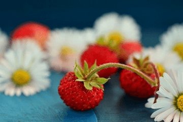 花店名字唯美浪漫