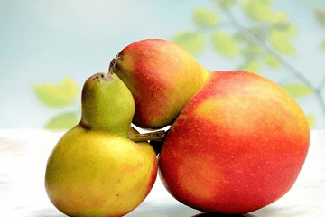 2020有内涵的店铺名字大全