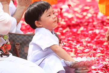 好听的陈姓男孩名字2021