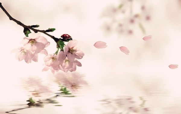 八字测桃花