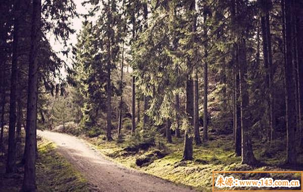 大林木命好吗 大林木命好吗