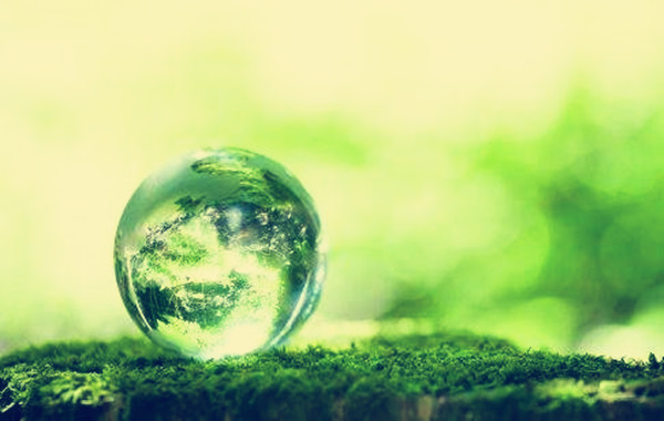 金命不能做的行业