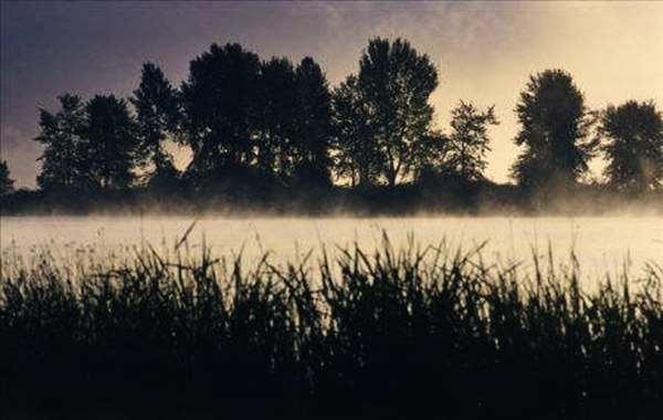 七杀格行运喜忌详解