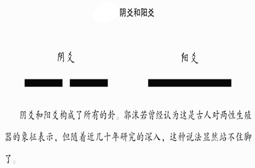 阳爻什麽意思