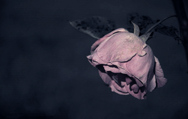 命局入偏官格 命局入偏官格