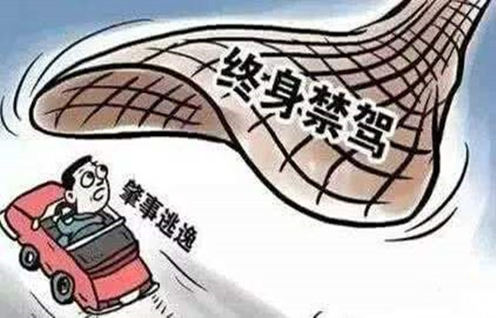 司机的八字特征