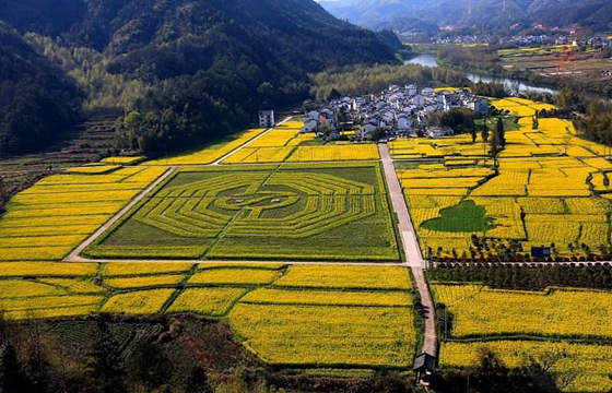 大运偏印合八字正财