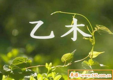 乙木男的性格