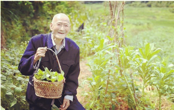 长寿人的八字命理