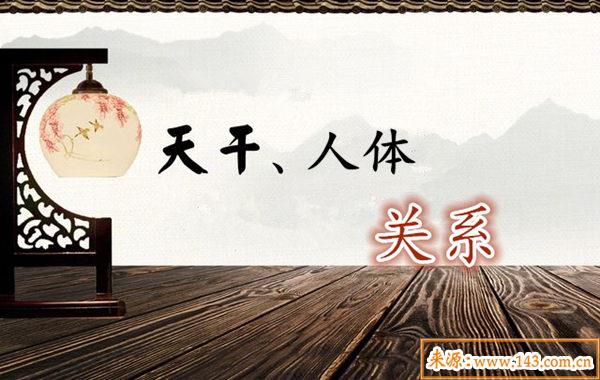 十天干与人体