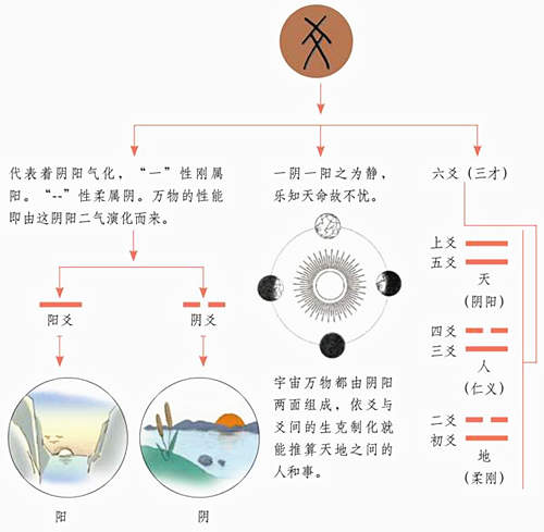 六爻八卦解析