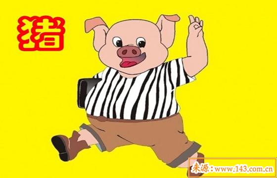 1995年出生的人是什麽命