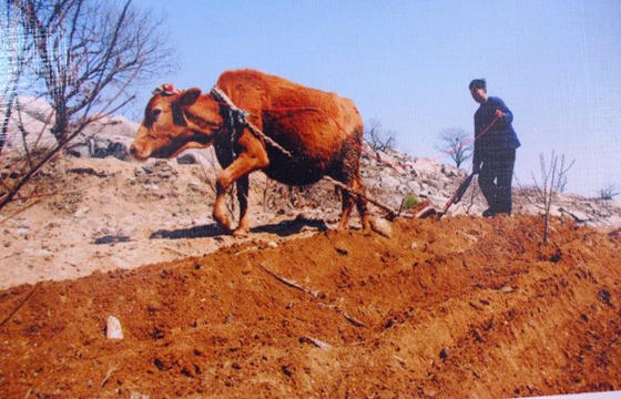 1997年出生的人是什麽命