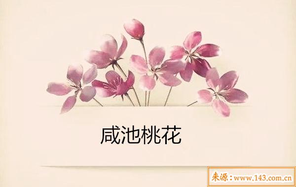 命带咸池桃花的男人好不好