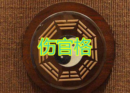 八字伤官格女命看婚姻
