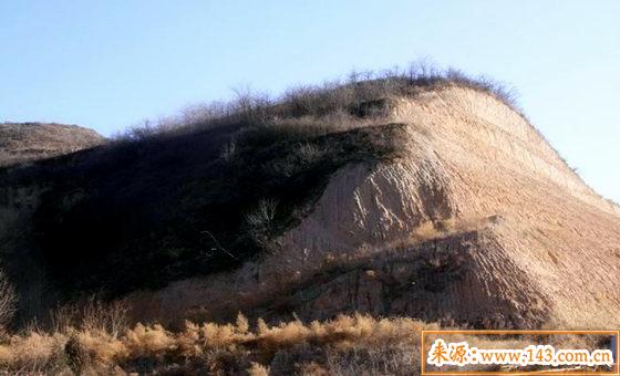 什麽是金赖土生