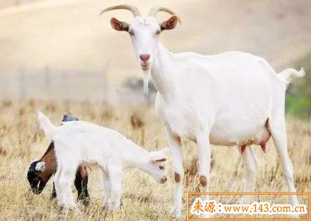 1979年出生的人是什麽命