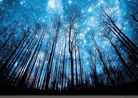 丁火命男性的特点