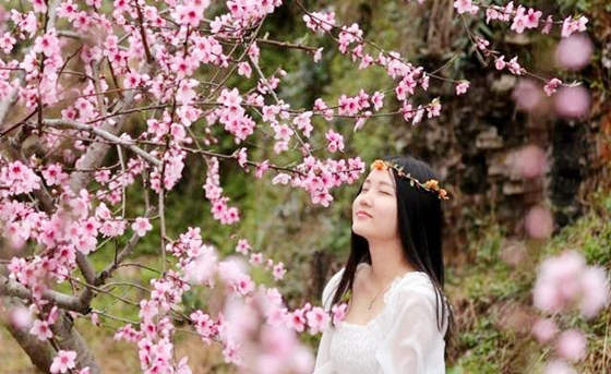 八字看烂桃花