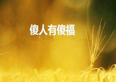 人傻的八字 人傻的八字