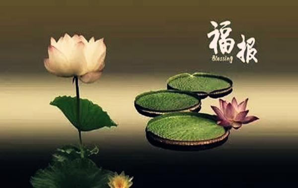 八字看福报