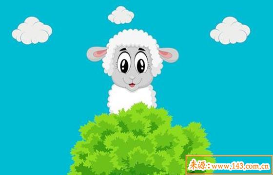 1991年出生的人是什麽命 1991年出生的人是什麽命