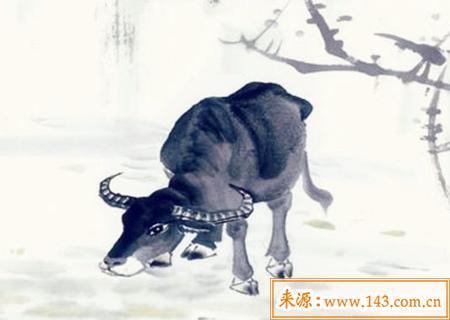 1985年出生的人是什麽命