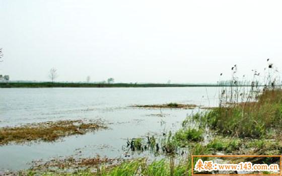 八字五行水旺缺木的人怎麽办