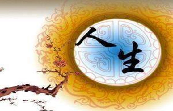 不入从儿格什麽意思