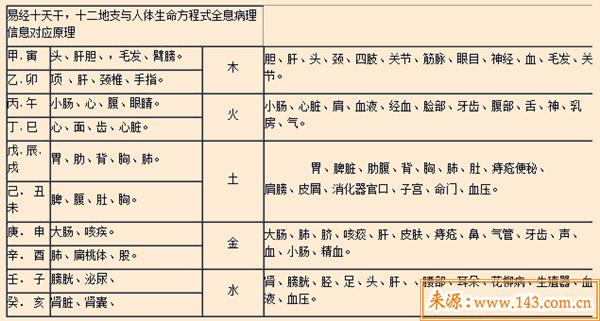 十二地支与人体
