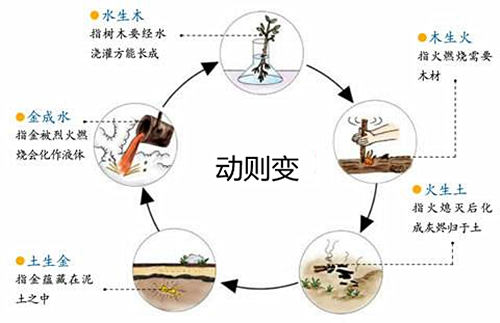 子孙爻动表示什麽