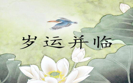岁运并临