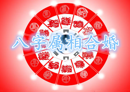 八字合婚要看属相吗