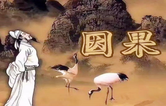 如何运用命理化解事业不顺