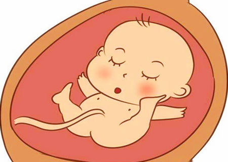 胎元命宫对八字的作用