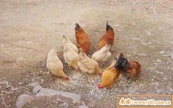 八字五行土旺缺水的人怎麽办 八字五行土旺缺水的人怎麽办