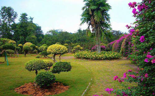 八字日主旺的性格 八字日主旺的性格