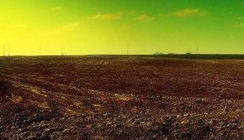 八字喜湿土性格 八字喜湿土性格