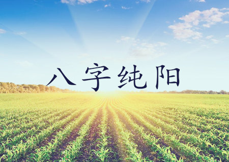 八字纯阳是什麽意思