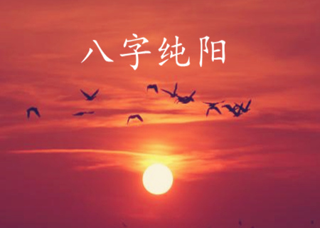 为什麽八字纯阳之人不宜算命 为什麽八字纯阳之人不宜算命