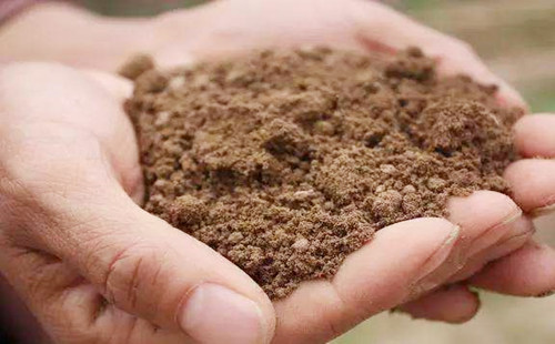 五行属土适合做什麽行业