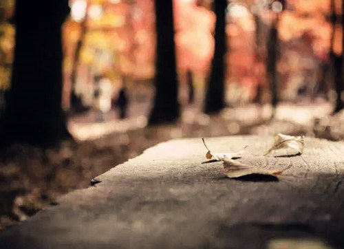 八字看流年应事 八字看流年应事