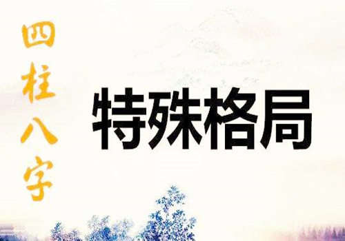 八字特殊格局假从儿格